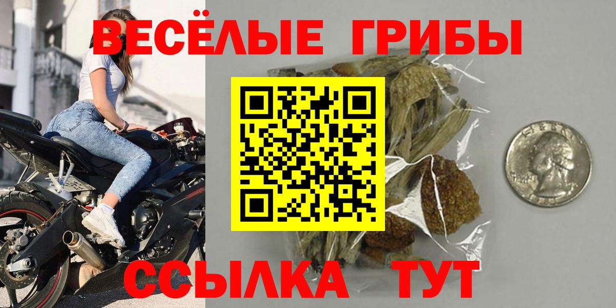 Галлюциногенные грибы прущие грибы  Вход с VPN  Зеленокумск 